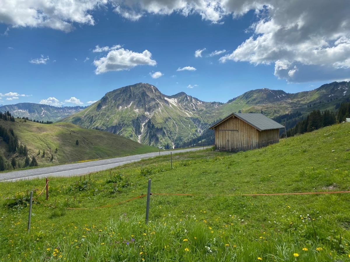 Ferienwohnung JOHANN- Urlaub im Herzen des Bregenzerwaldes Mellau Exterior foto