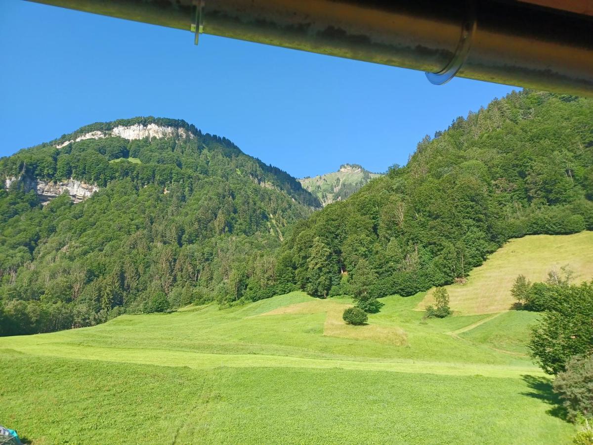 Ferienwohnung JOHANN- Urlaub im Herzen des Bregenzerwaldes Mellau Exterior foto